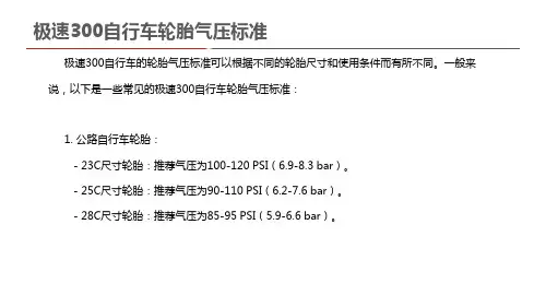 极速300自行车轮胎气压标准