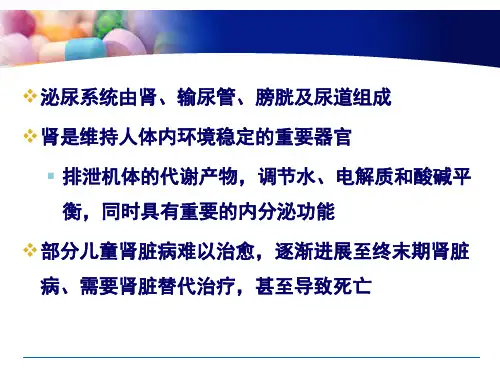 儿科学(第四版)课件 第12章第一节 儿童泌尿系统疾病概述