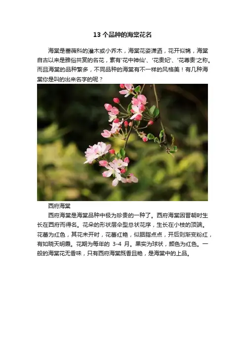 13个品种的海棠花名