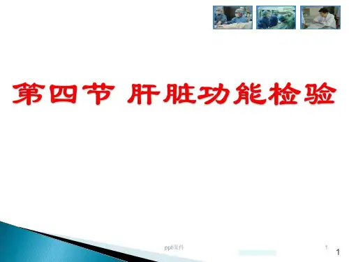 肝功能  ppt课件
