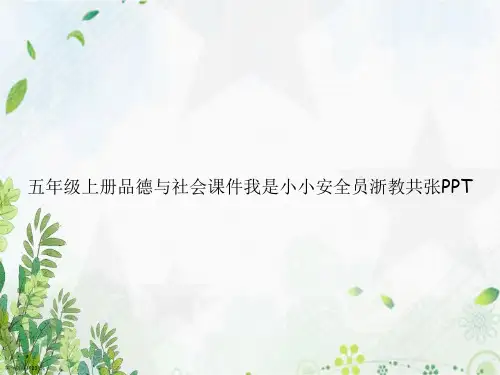 五年级上册品德与社会我是小小安全员浙教共张讲课文档
