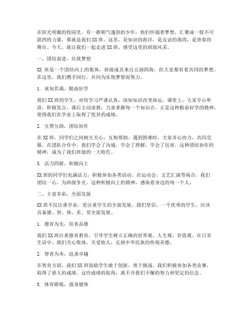 走心的班级风采文案