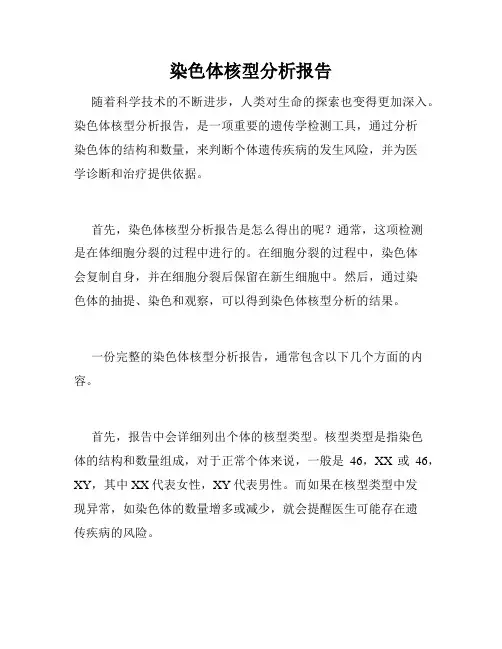 染色体核型分析报告