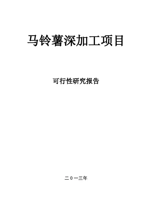 马铃薯深加工项目可研