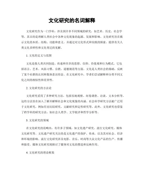 文化研究的名词解释