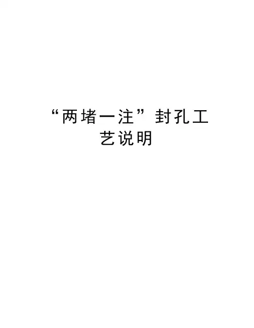 “两堵一注”封孔工艺说明教程文件