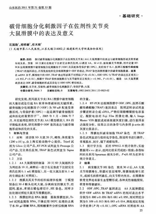 破骨细胞分化刺激因子在佐剂性关节炎大鼠滑膜中的表达及意义