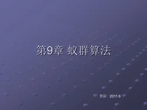 蚁群算法