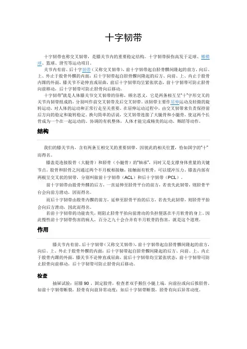 交叉韧带