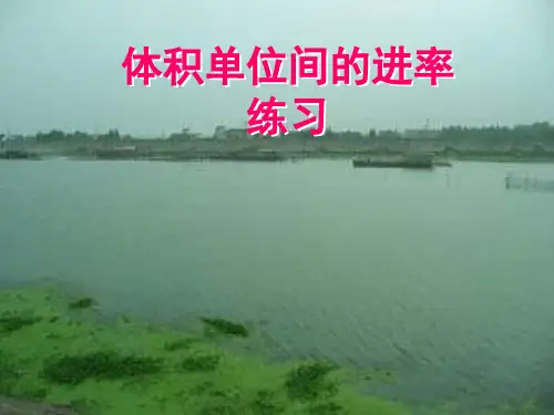 苏教版小学六年级数学上册一单元§1-10体积单位之间的进率(2)课件