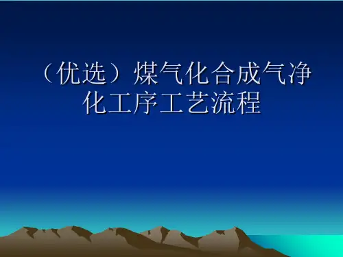 煤气化合成气净化工序工艺流程