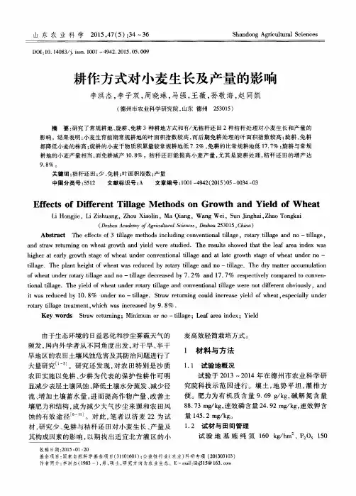 耕作方式对小麦生长及产量的影响