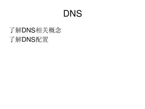 3-DNs