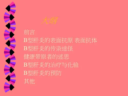 b型肝炎专题报告精品
