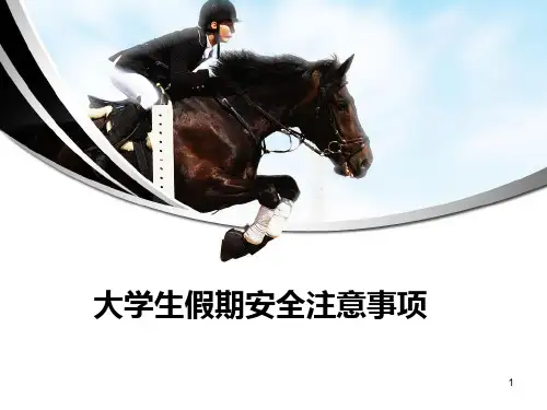 假期安全注意事项  ppt课件