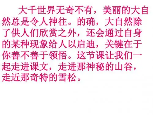六下《山谷中的谜底》ppt课件全面版