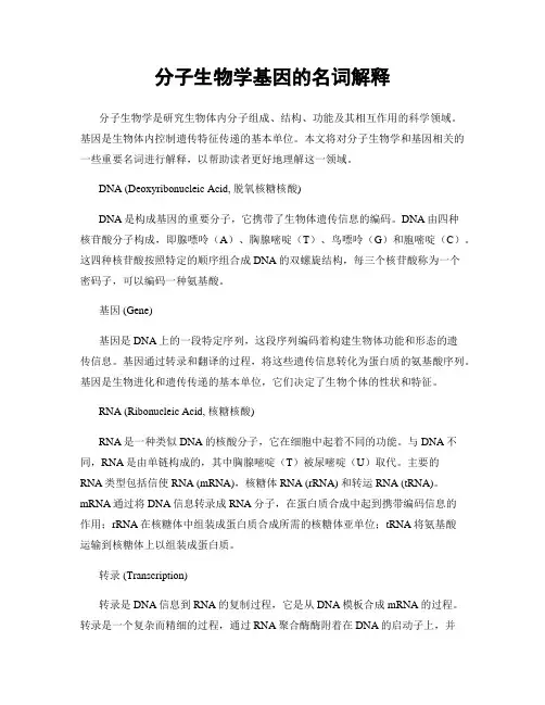 分子生物学基因的名词解释