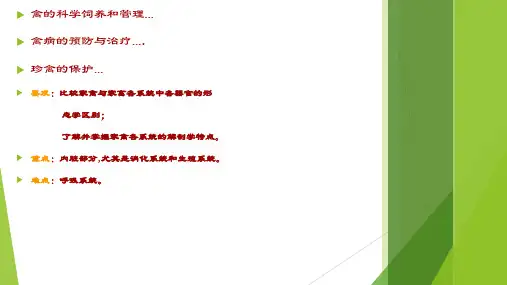 家禽解剖学-家禽解剖生理特征