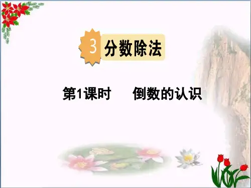 数学倒数的认识人教版(共14张PPT)优秀课件