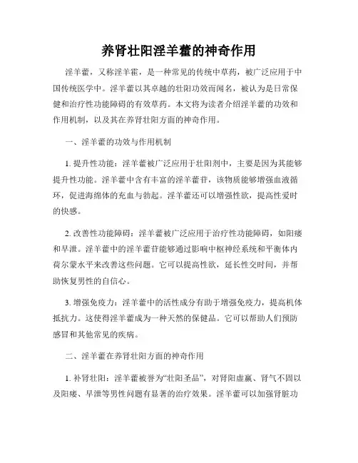 养肾壮阳淫羊藿的神奇作用