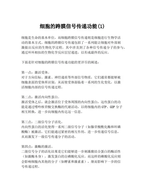 细胞的跨膜信号传递功能(1)