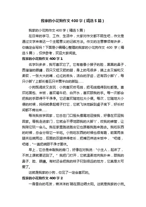 我家的小花狗作文400字（精选5篇）