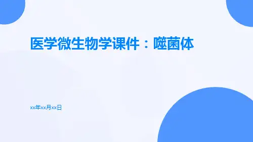 医学微生物学课件：噬菌体