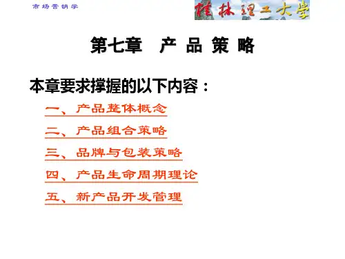 产品策略1