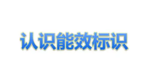 能效标识实用培训 PPT课件