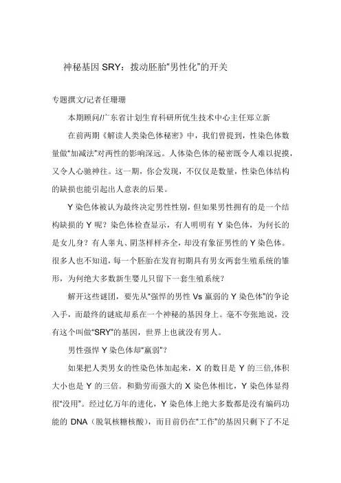 神秘基因SRY