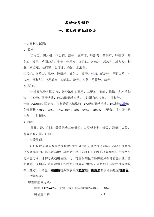 石蜡切片