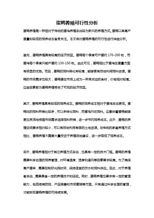 蛋鸭养殖可行性分析