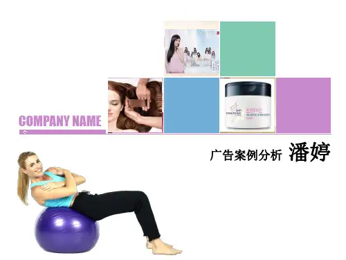 潘婷PPT