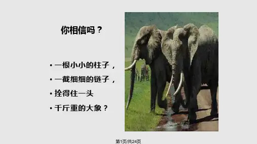 第五养成良好的职业行为习惯一PPT课件
