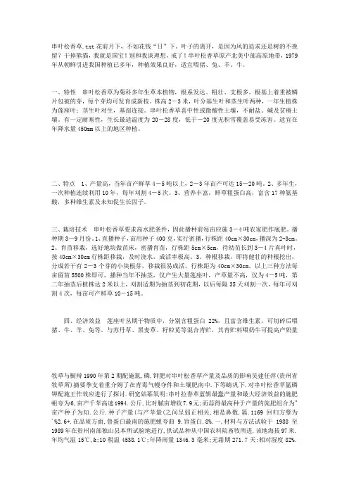 串叶松香草