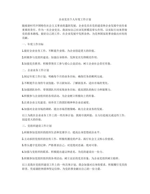 企业党员个人年度工作计划