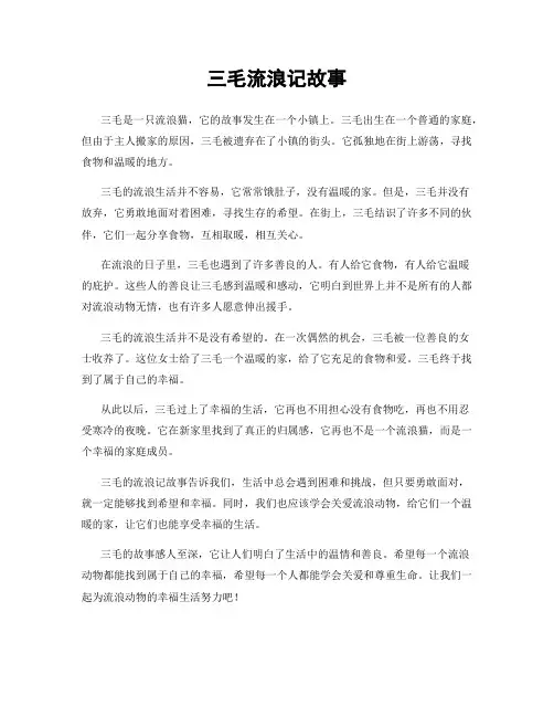 三毛流浪记故事