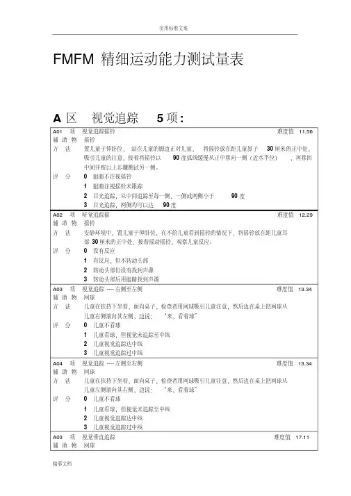 FMFM精细运动量表