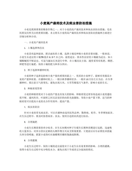 小麦高产栽培技术及病虫害防治措施