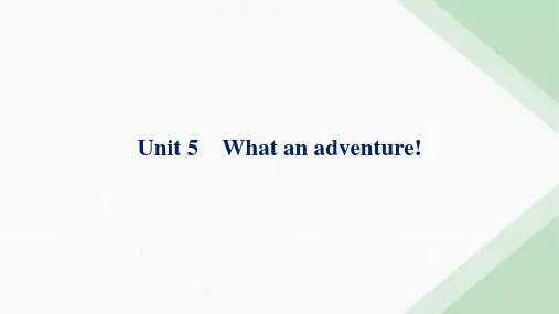 外研版高考英语一轮复习必修第三册 Unit5 What an adventure!课件