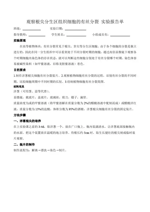 观察根尖分生区组织细胞的有丝分裂(实验报告)