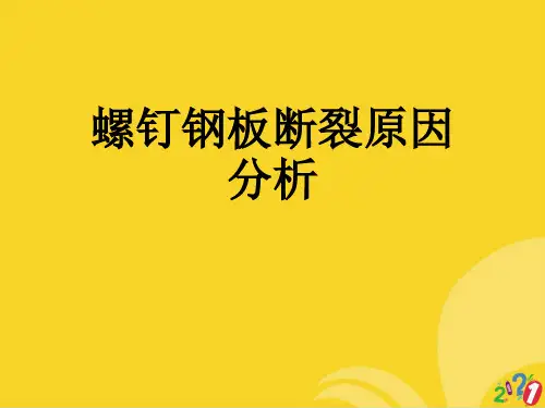 螺钉钢板断裂原因分析标准文档ppt