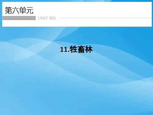 第11课 牲畜林语文课件PPT