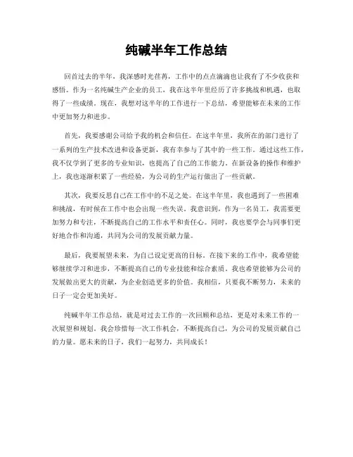 纯碱半年工作总结