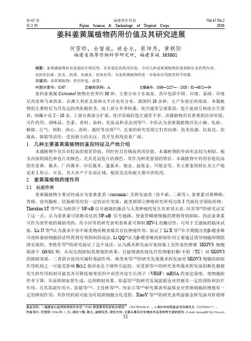 姜科姜黄属植物药用价值及其研究进展