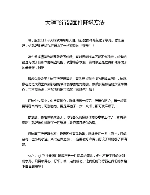 大疆飞行器固件降级方法