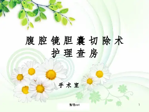 手术室腹腔镜手术护理查房【33页】
