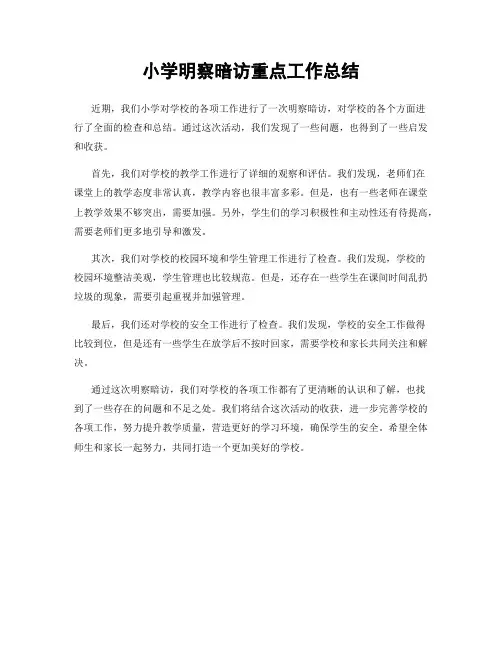 小学明察暗访重点工作总结