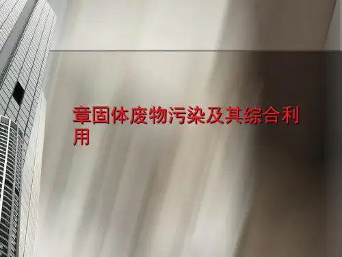 固体废物污染及其综合利用(ppt32张)