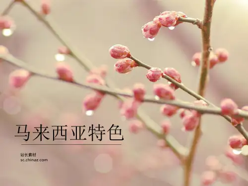 马来西亚特色